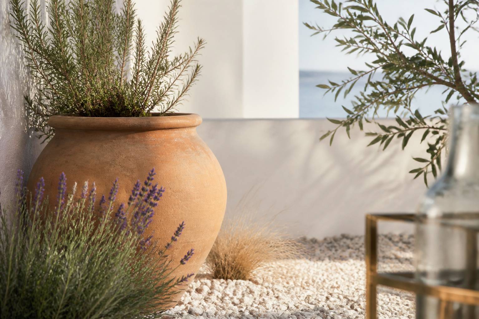 Coin de jardin méditerranéen avec une poterie en terre cuite, du romarin et du gravier
