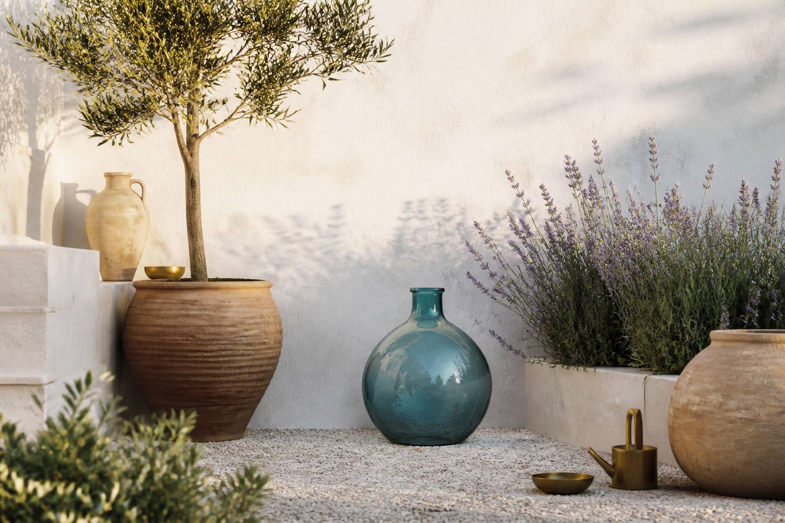 Coin de jardin méditerranéen avec olivier en pot, lavandes et mur blanc chaulé